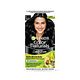 Garnier (No Ammonia) Products