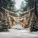 Kerstshoot kerstbomen