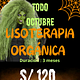 Lisoterapia Orgánica