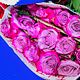 Rosas lila
