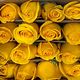 Rosas amarillas