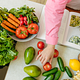 Dra. Josselyn Cabrera Vargas- Nutrición y Dietética