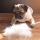 Deshed Mud Mask & Mini Groom
