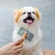 Brush and Go