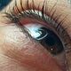 Lash Colour