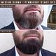 beard colour 
