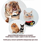 Sesión promo mascotas