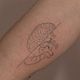 Medium Tattoo 1,5 -2 hours