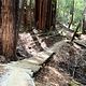 July 18th | Santa Cruz Soquel Demo Forest