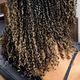 Spring Twists