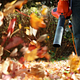 Leaf Removal