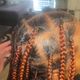 Large knotless braids