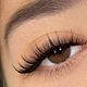 Pestañas Wispy