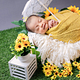 Newborn: Mini Session