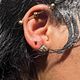 Ears