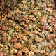 "Traditional" Thanksgiving Dressing / Stuffing