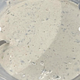 Homemade Cilantro-Lime Crema