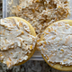 Dead-Aunt-Donna's Smokey Cheese Spread