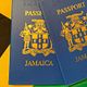 Passport Application (Adult)