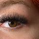 Volume lashes