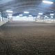 DAG: Paard / ruiter combinatie