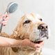 Washing, drying and combing