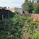 Garden clearance 