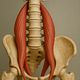 Psoas massage