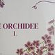 Huur zaal De Orchidee.