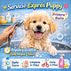Baño Puppy Express