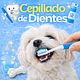 Cepillado de Dientes