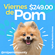 Viernes de Pomerania