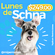 Lunes de Schnauzer