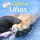 Corte de Uñas Basico